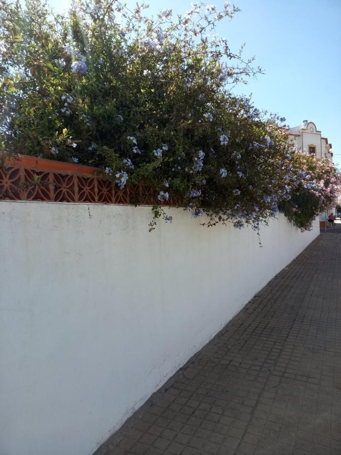 Hotel Por Do Sol Vila Nova de Milfontes Zewnętrze zdjęcie